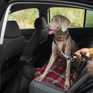 Szagsemlegesítő koncentrátum