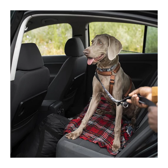 Szagsemlegesítő koncentrátum